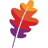 Apache Software Foundation Logo